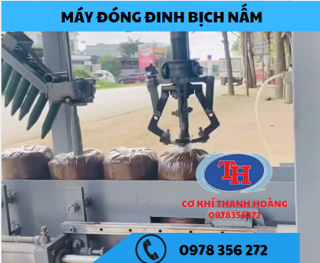 MÁY ĐÓNG ĐINH BỊCH NẤM